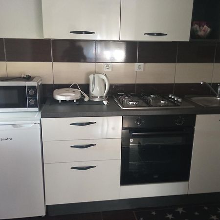 Appartamento Apartman Vidovic Korenica Esterno foto