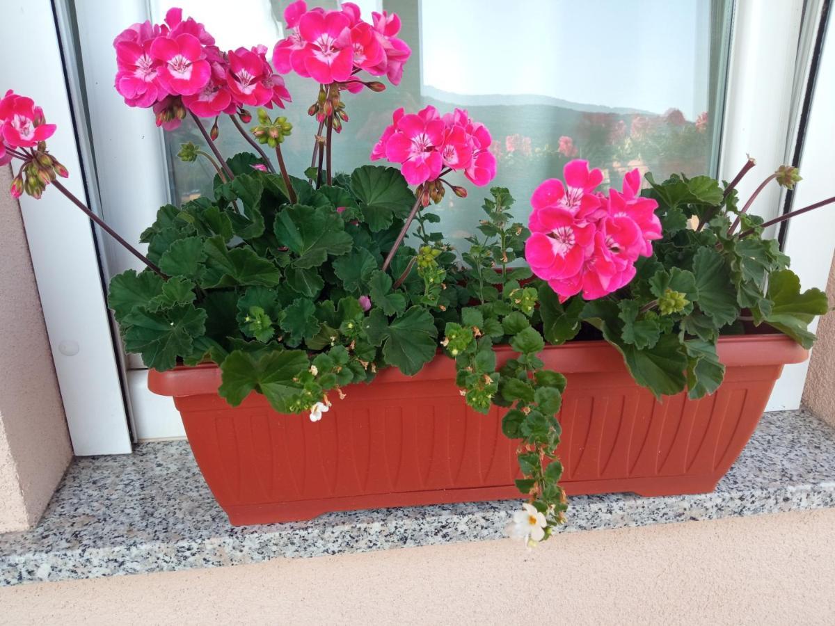 Appartamento Apartman Vidovic Korenica Esterno foto
