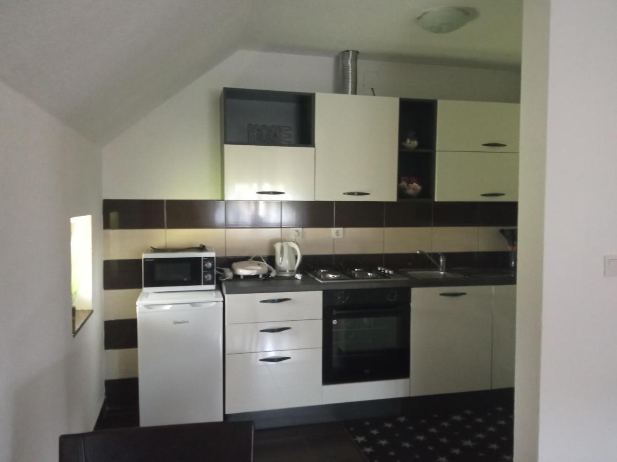 Appartamento Apartman Vidovic Korenica Esterno foto