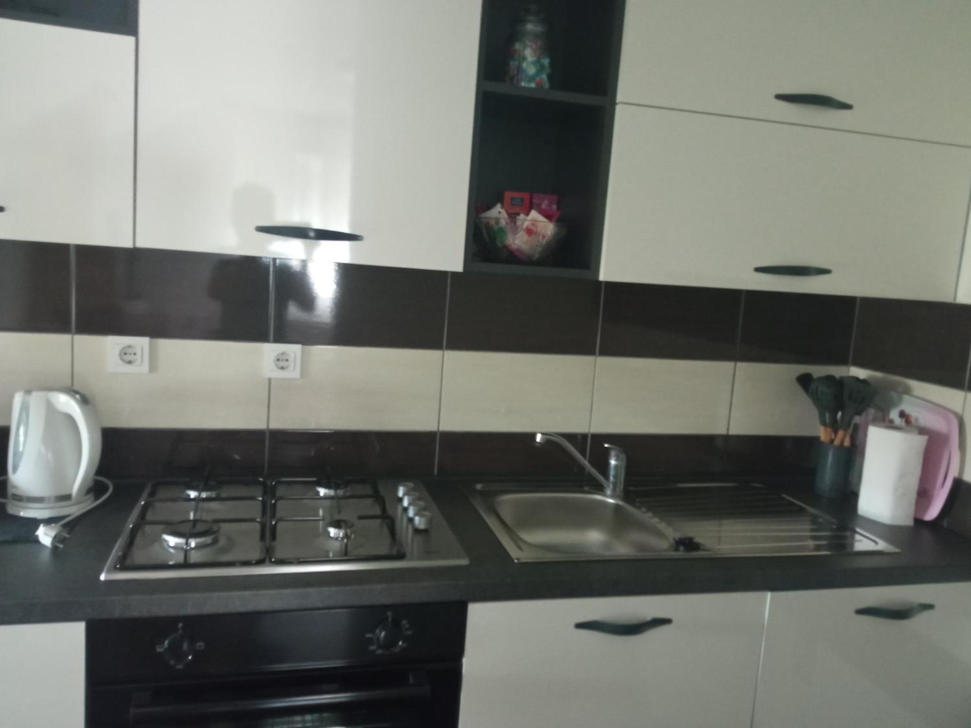 Appartamento Apartman Vidovic Korenica Esterno foto