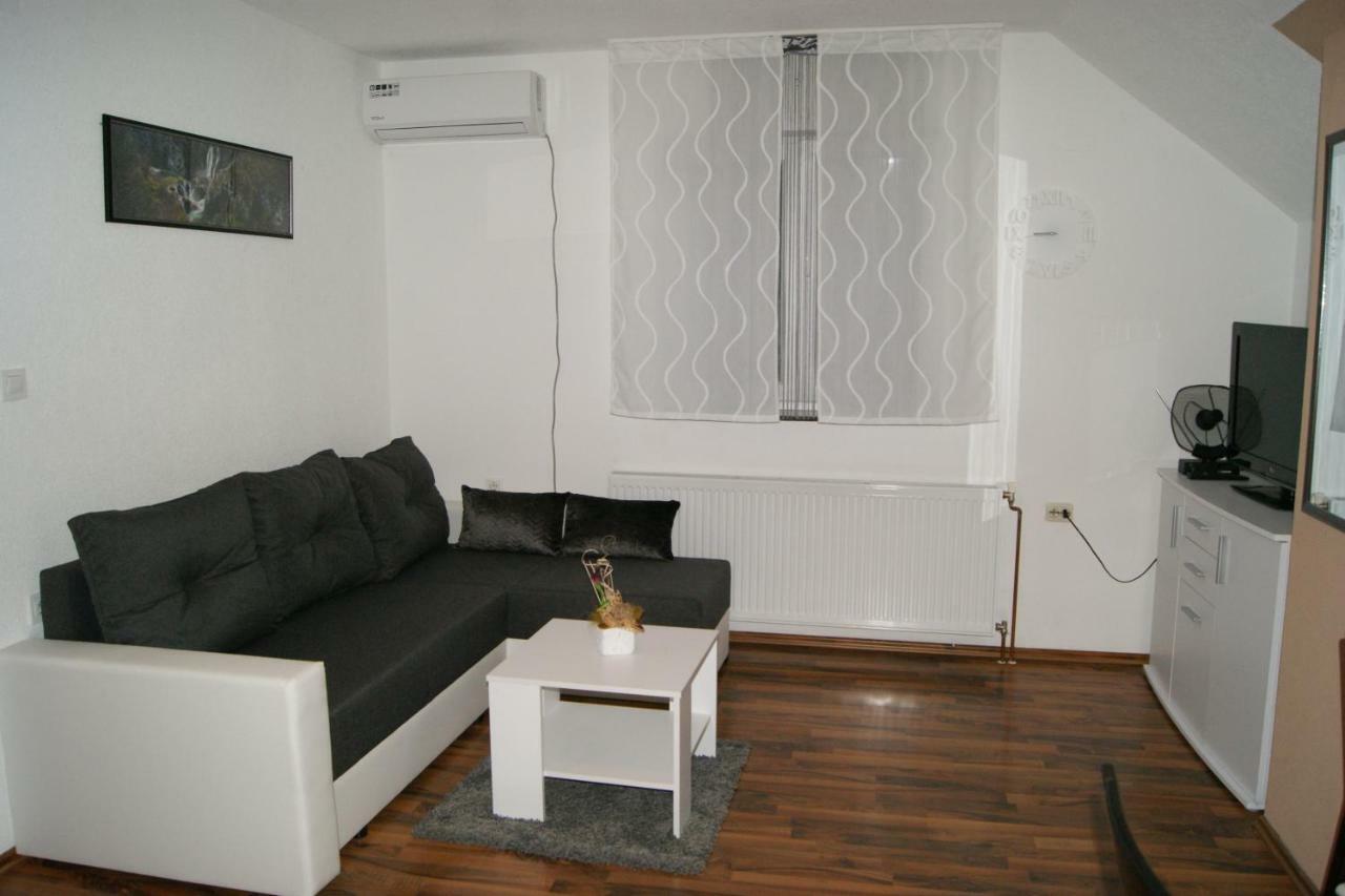 Appartamento Apartman Vidovic Korenica Esterno foto