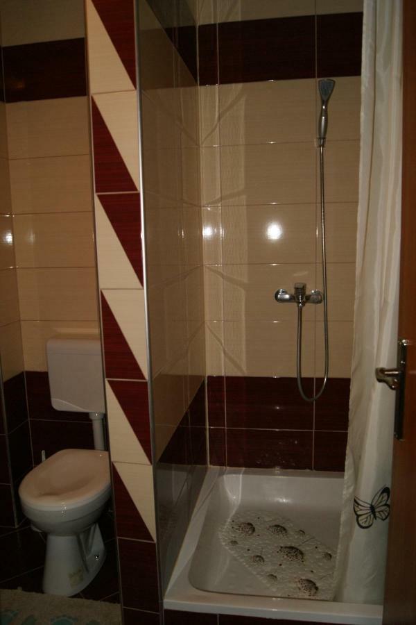 Appartamento Apartman Vidovic Korenica Esterno foto