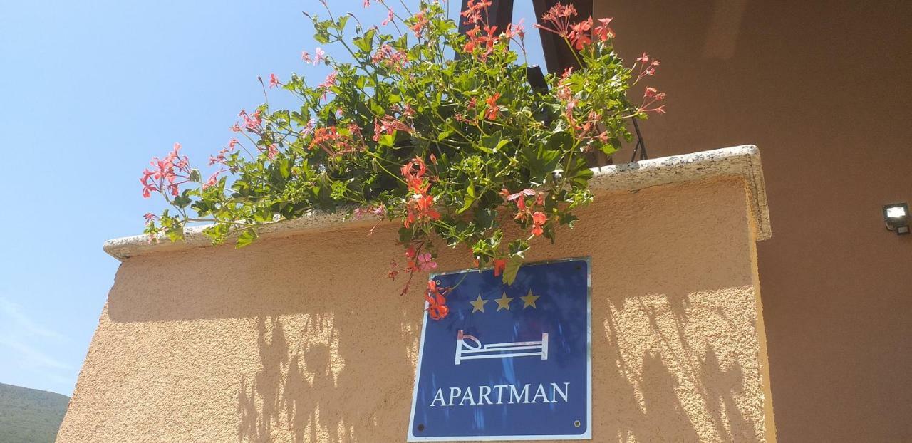 Appartamento Apartman Vidovic Korenica Esterno foto
