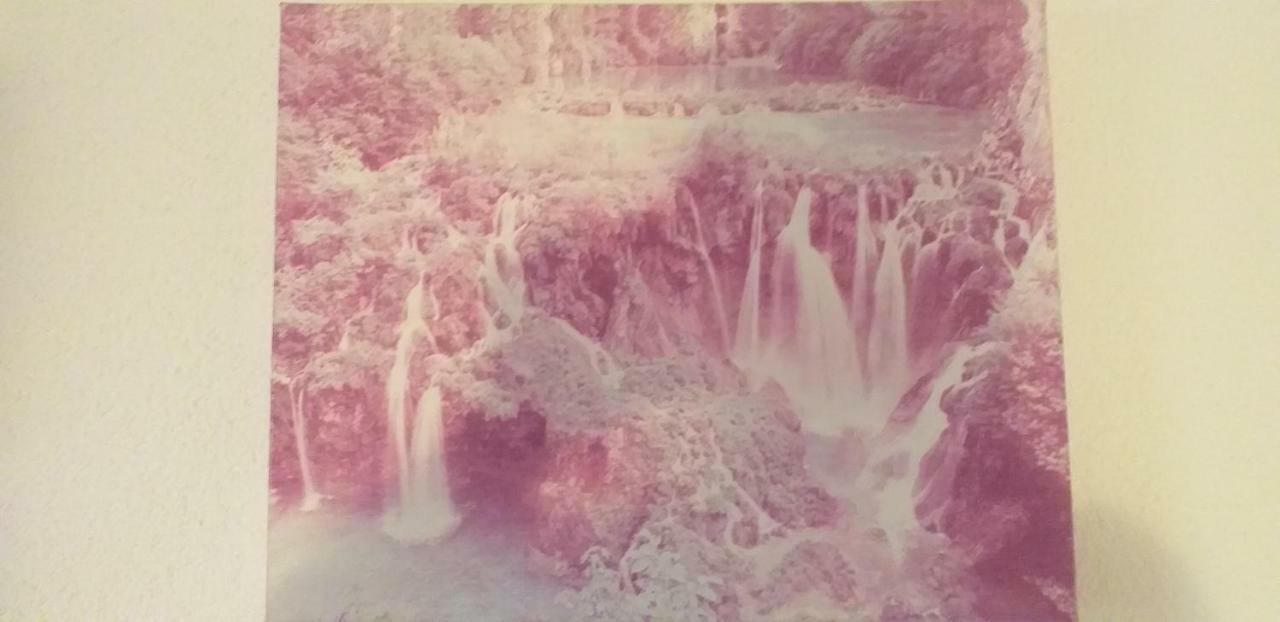 Appartamento Apartman Vidovic Korenica Esterno foto